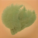 Björk - Utopia | Mint (M) Mint (M)