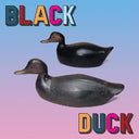 Black Duck - Black Duck [Vinyl]