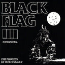 Black Flag - The Process Of Weeding Out |