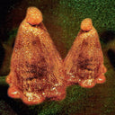 Oocyte Oil & Stolen Androgens | Mint (M) Mint (M)