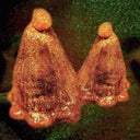 Black To Comm - Oocyte Oil & Stolen Androgens [Vinyl]