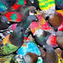 Blawan - Sickelixir (CD) | Mint (M) Mint (M)