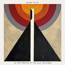 In the Shadow of the Holy Mountain [Blue LP] [Vinyl]