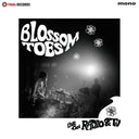 BLOSSOM TOES - Live On Radio & Tv [LP] [Vinyl]