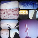 Boards Of Canada - Tomorrow's Harvest (2x VINYL) | Mint (M) Mint (M)