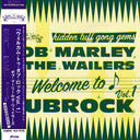Bob Marley & The Wailers - Welcome To Dubrock |