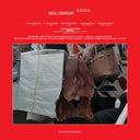 BOLI GROUP - N.P.D.S. |