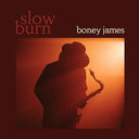 Boney James - Slow Burn [LP] [Vinyl]