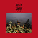 Bonnie Prince Billy - I Made A Place |