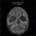 Bonnie 'Prince' Billy - I See A Darkness [CD]