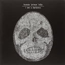Bonnie Prince Billy - I See A Darkness (VINYL) | Mint (M) Mint (M)