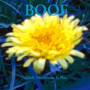 BOOF - Shhh, Dandelions At Play |