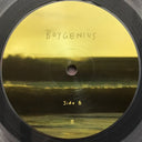 boygenius - The Record | Mint (M) Mint (M)