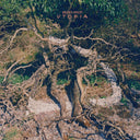 Utopia [CD]