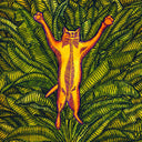 Gatos Do Sul [CD]