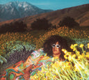 Brittany Howard - What Now (Translucent Lemonade Vinyl) | Mint (M) Mint (M)