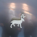 Buck Gooter - Stainless Steel Mirrors |