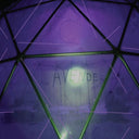C. LAVENDER - Myth Of Equilibrium |