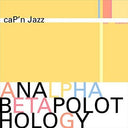 Cap'n Jazz - Analphabetapolothology (180 Gram Vinyl) (2xLP) | Mint (M) Mint (M)