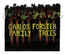 Family Trees [CD]