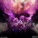 CARLY PARADIS - Nothing is Something |