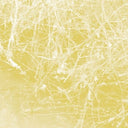 CELER - Cursory Asperses |