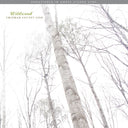 Chatham County Line - Wildwood (Remastered) [Vinyl]