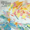 Chico Bernardes & Fools - Quero Saber & Pra Proxima Vez |