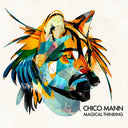 Chico Mann - Magical Thinking [Vinyl]