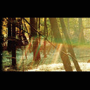 Childish Gambino - CAMP (180 GRAM) | Mint (M) Mint (M)