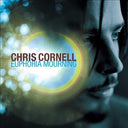 Chris Cornell - Euphoria Mourning | Mint (M) Mint (M)