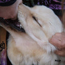 CHRISTIAN FENNESZ & JIM O'ROURKE - It's Hard For Me To Say I'm Sorry |