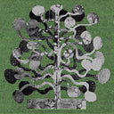 CHURCH ANDREWS & MATT DAVIES - Yucca |