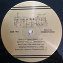 The Lost Theremin Album (VINYL) | Mint (M) Mint (M)