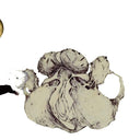 The Ape Of Naples [Vinyl]