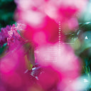 COLDHARBOURSTORES - Wilderness |
