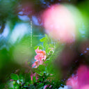 COLDHARBOURSTORES - Wilderness |