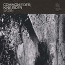COMMON EIDER, KING EIDER - Worn |