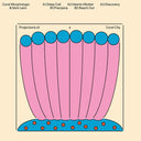 Projections of a Coral City [Vinyl]