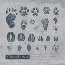 Cover Your Tracks [CD]