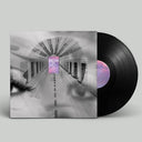 Dream In Dream [Vinyl]