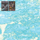 Talamanca EP | Mint (M) Mint (M)