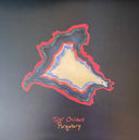 Tyler Childers - Purgatory (VINYL) | Mint (M) Mint (M)