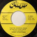 Terry Stafford - They’re Growing Grass In The Old Corn Field / Strangers With The Same Last Name | Near Mint (NM) Generic