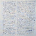 Courtney Barnett - Things Take Time, Take Time (Pavement Blue) | Mint (M) Mint (M)
