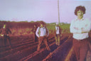 Crooked Oak - From Little Acorns Grow | Mint (M) Mint (M)