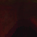 Acanthosaura |