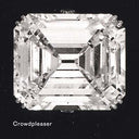 CROWDPLEASER - Crowdpleaser |