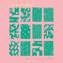 Crumbs - You're Just Jealous | Mint (M) Mint (M)