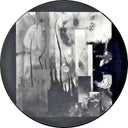 Current 93 - In Menstrual Night (12" Picture Disc) [Vinyl]